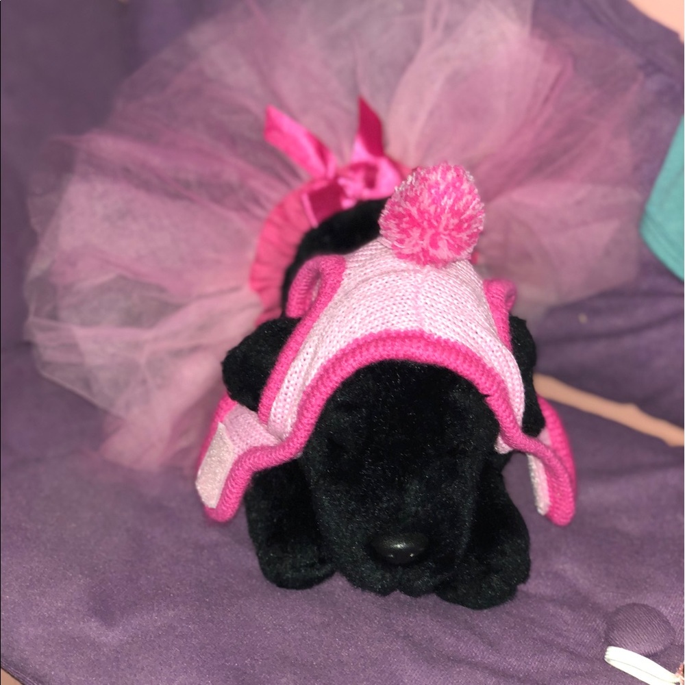 Small Dog clothes